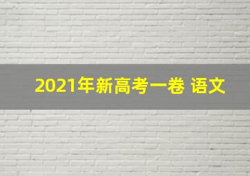 2021年新高考一卷 语文